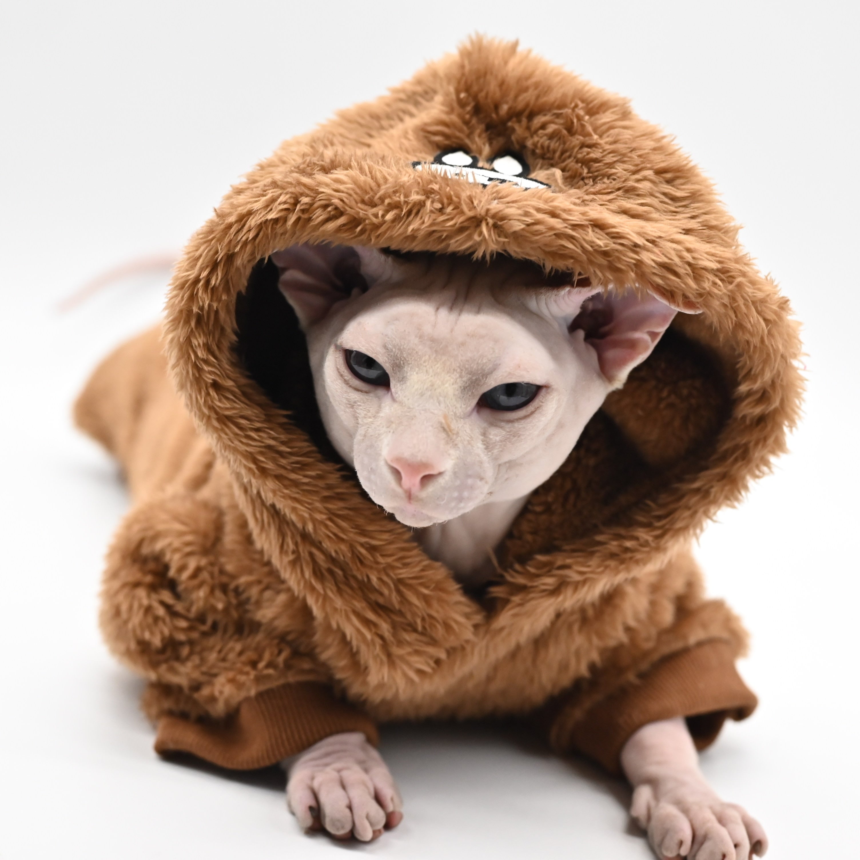 Soft Hoodie Clothes for Cats - Clothes for cats