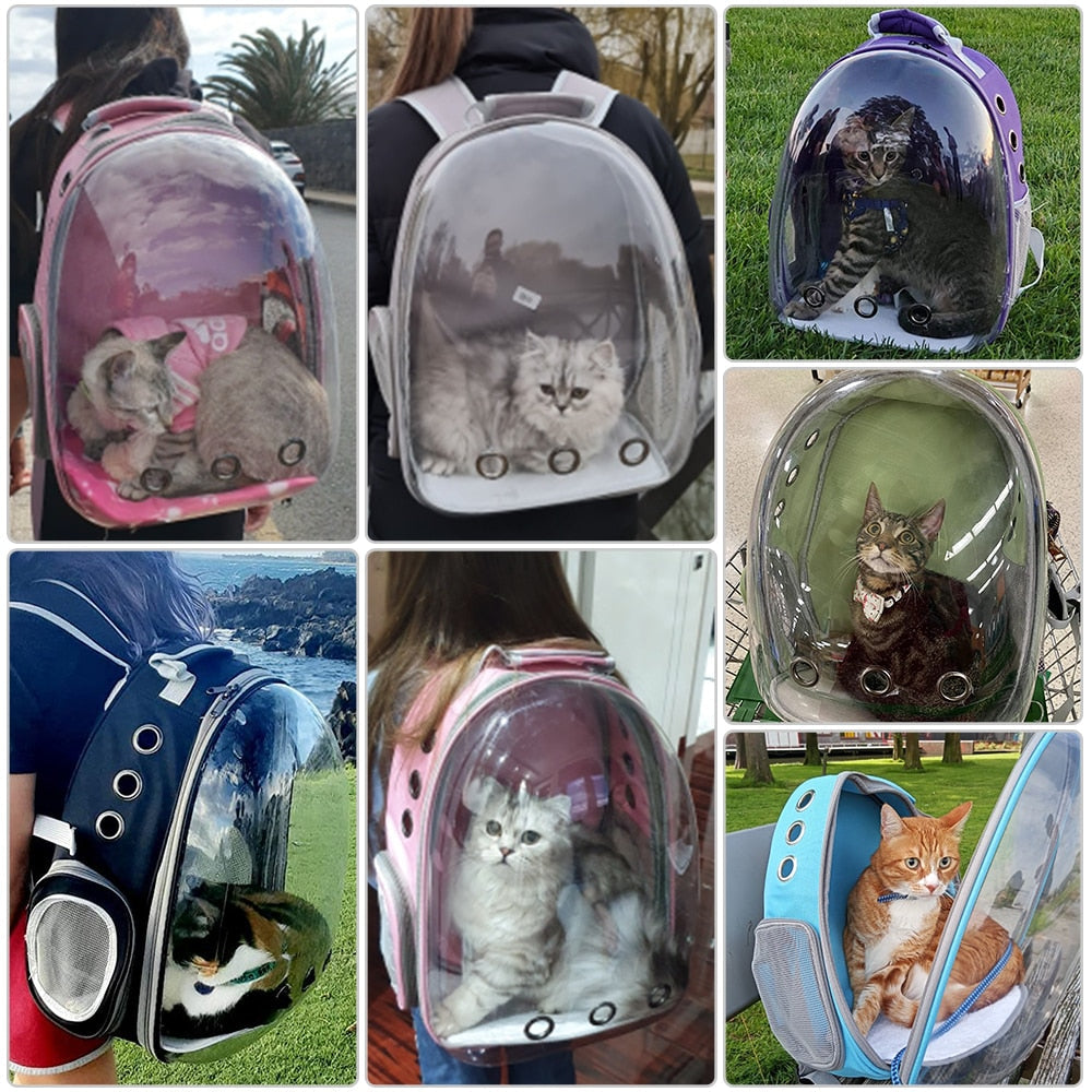 Space Capsule Cat Carrier - Space Capsule Cat Carrier