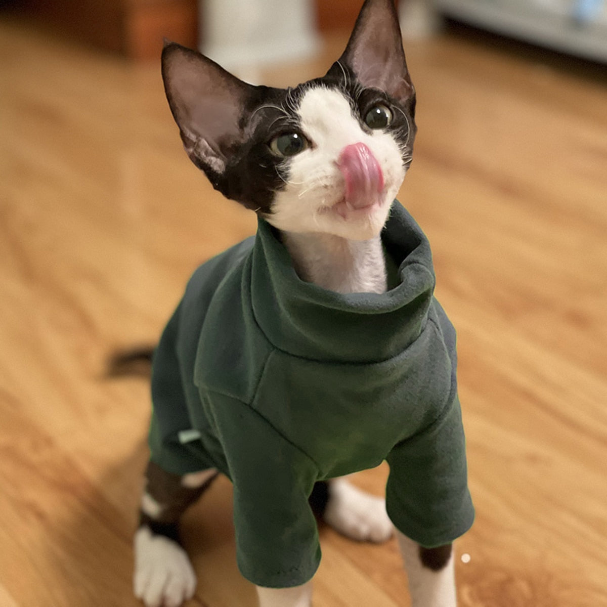 Sphynx Cat Clothes - Green / XS - Clothes for cats