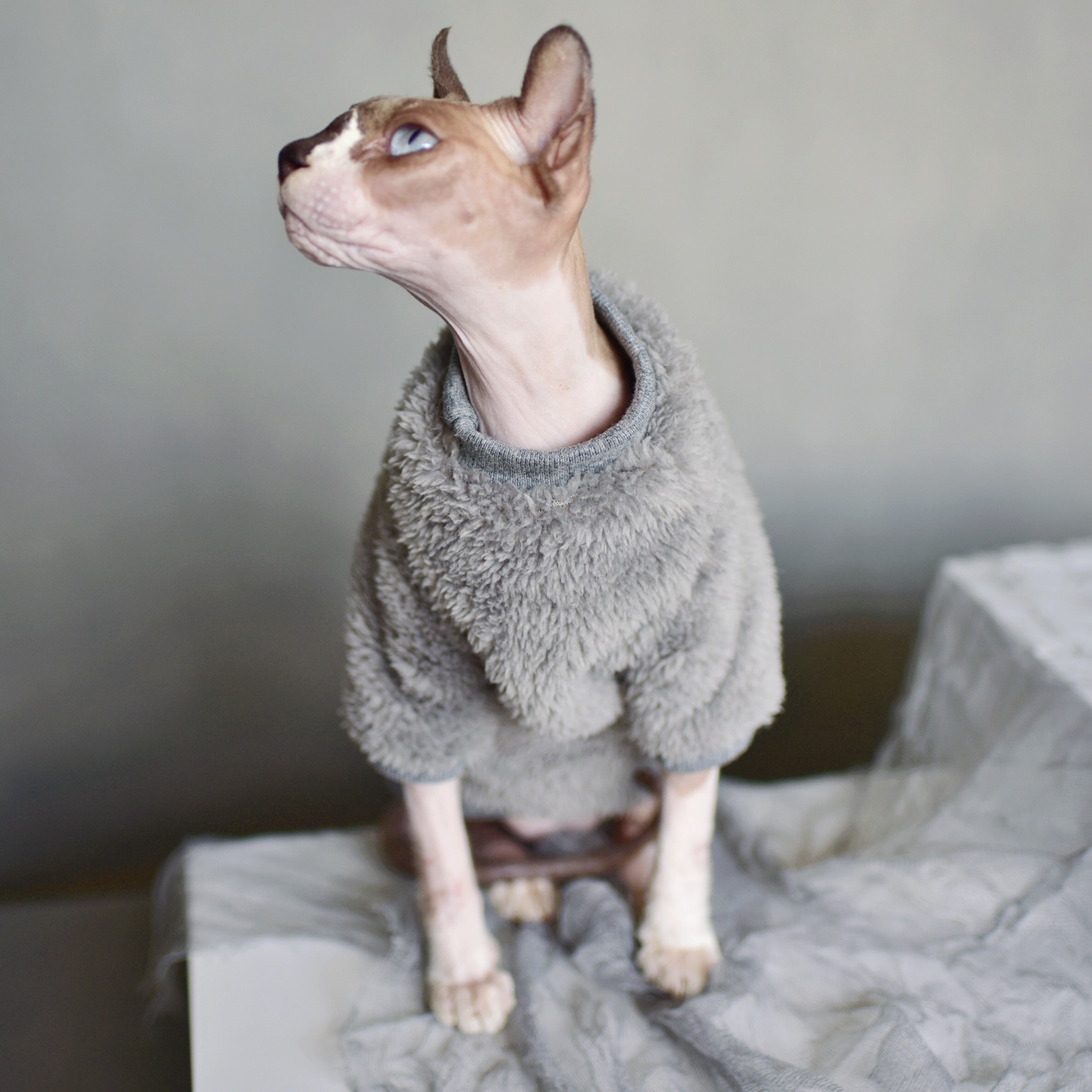 Sphynx Cat Sweater Clothes - Clothes for cats