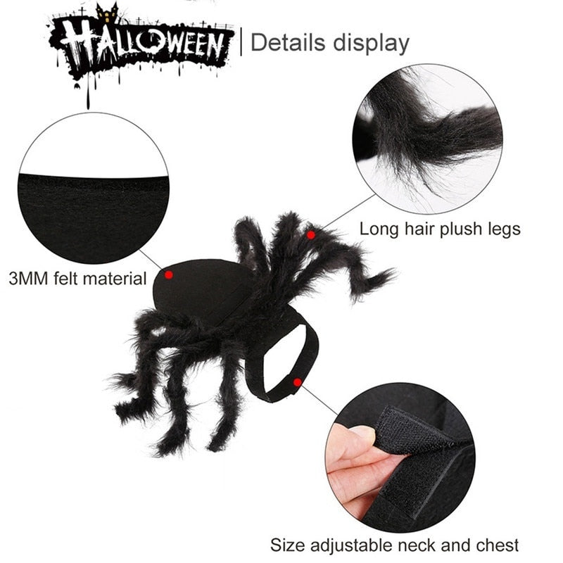 Spider Costume for Cat