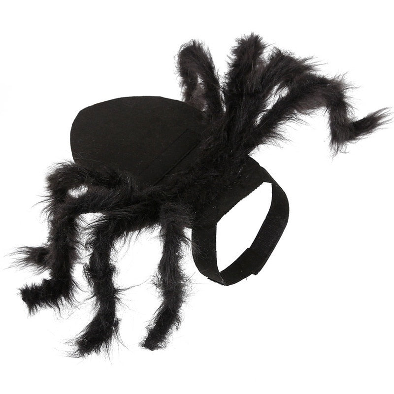 Spider Costume for Cat