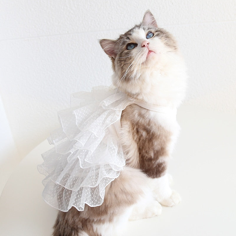 Spring Cat Dress - White / XS