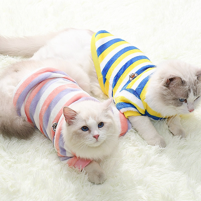 Spring Clothes for Cats - Clothes for cats