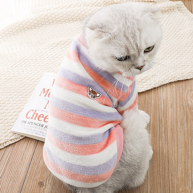 Spring Clothes for Cats - Clothes for cats