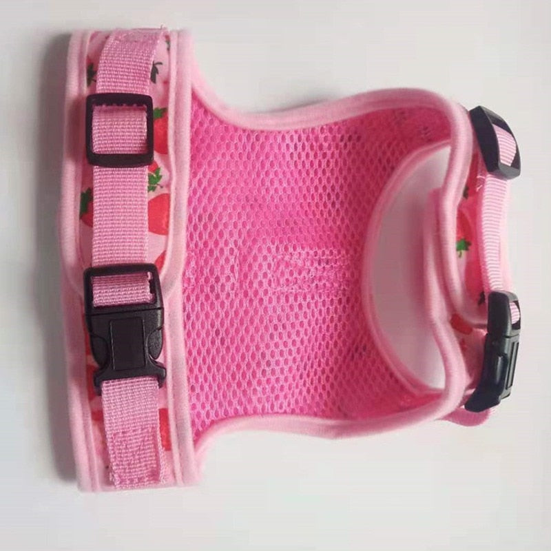 Strawberry Cat Harness