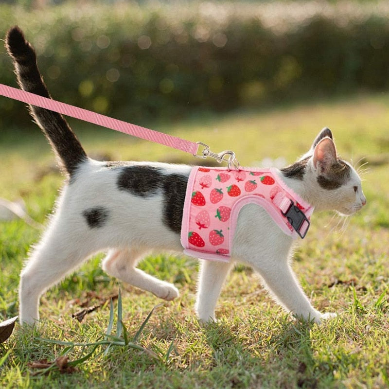 Strawberry Cat Harness