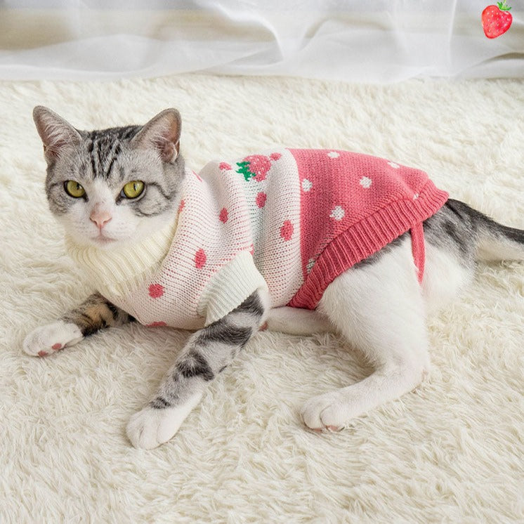 Strawberry Clothes for Cats - Clothes for cats