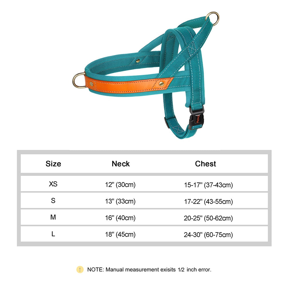 Stray Cat Harness - Teal / XS