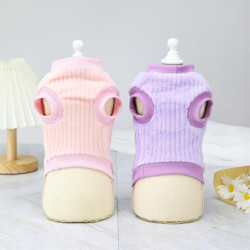 Sunflower Clothes for Cats - Clothes for cats