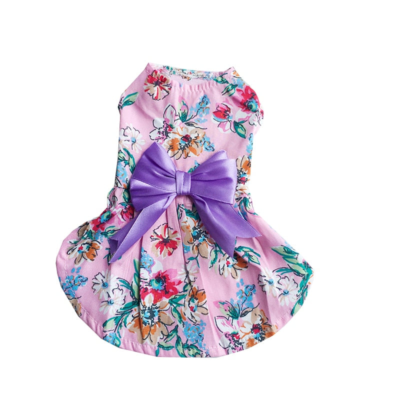 Sweet Bow Clothes for Cats - Violet / XS - Clothes for cats