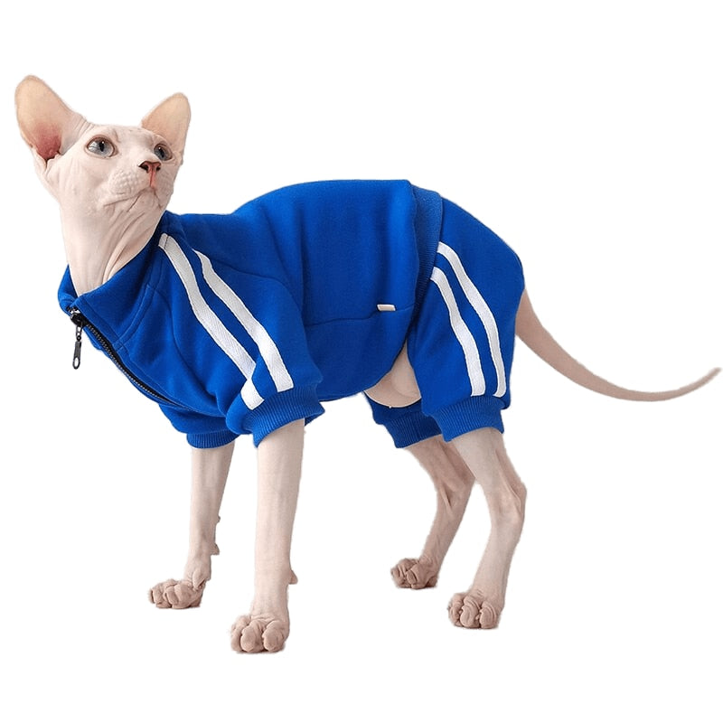 Tracksuit Clothes for Cats - Clothes for cats