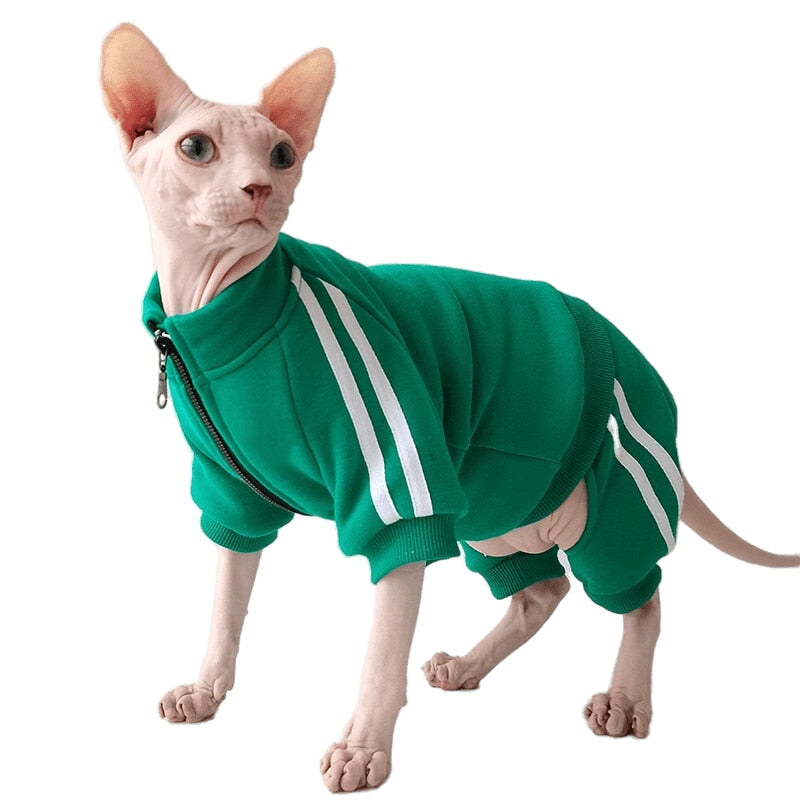 Tracksuit Clothes for Cats - Clothes for cats