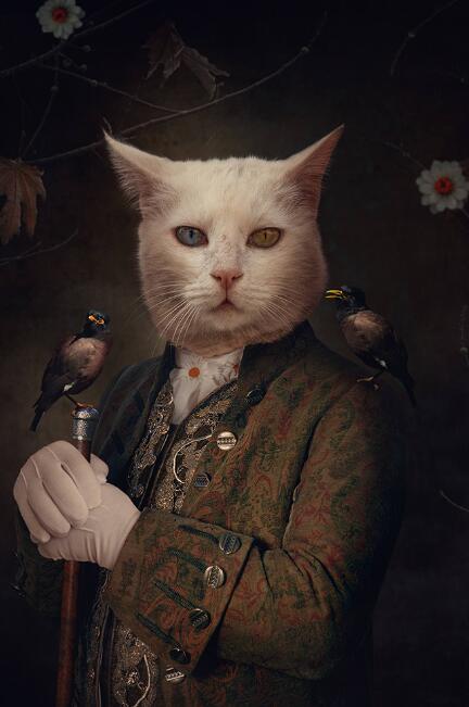 Victorian Cat Paintings - 20x30cm no frame / White