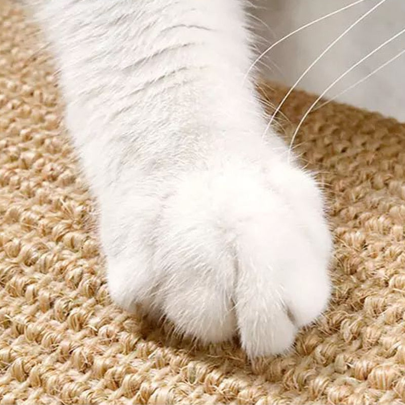 Wall Cat Scratching Post - Cat scratching post