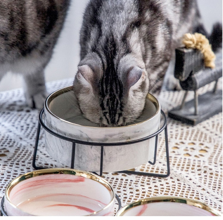 Water Bowls for Cats - Cat Bowls