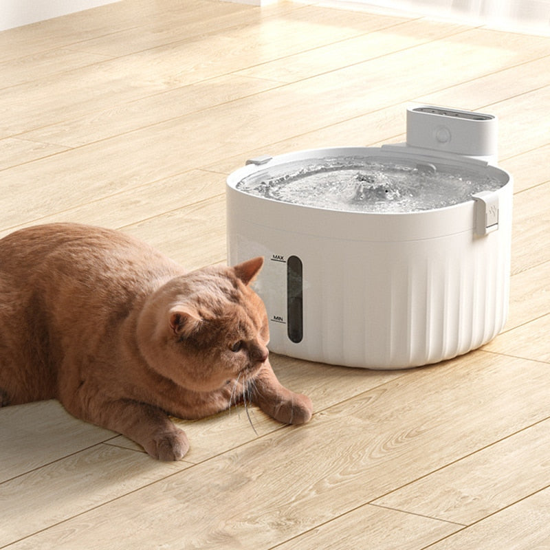 Water Cat Fountain - Cat water fountain