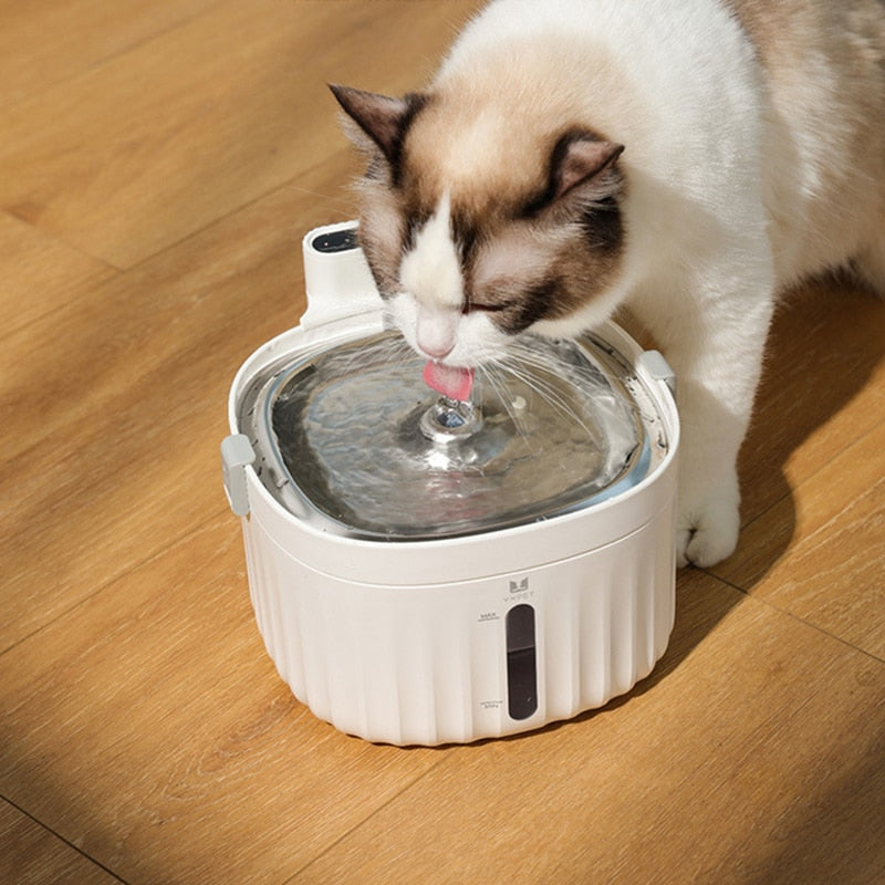 Water Cat Fountain - Cat water fountain