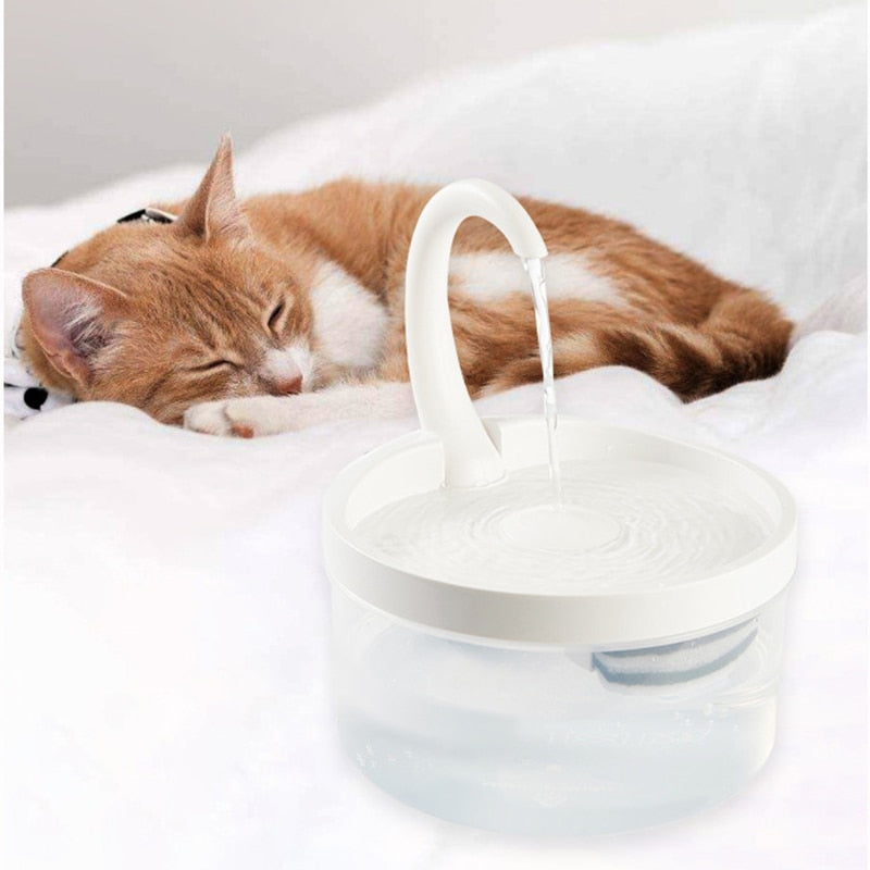Water Fountain Cat - Cat water fountain