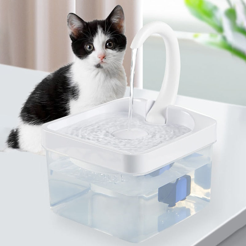 Water Fountain Cat - Cat water fountain