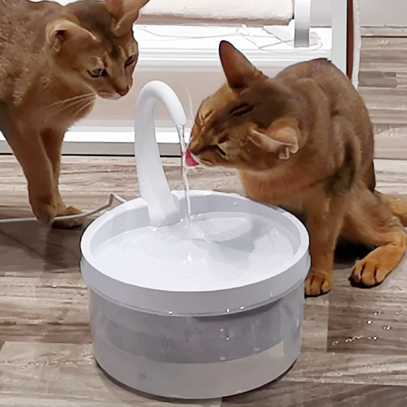 Water Fountain Cat - Cat water fountain