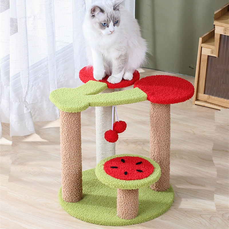 Watermelon Cat Scratching Post - Cat scratching post