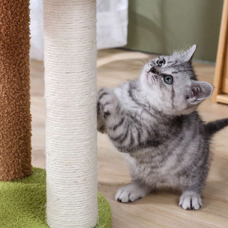 Watermelon Cat Scratching Post - Cat scratching post