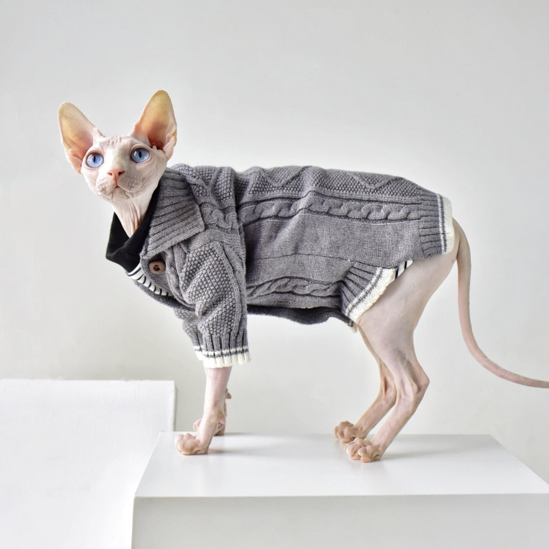 Winter Sphynx Cat Clothes – Meowden® - Main Image