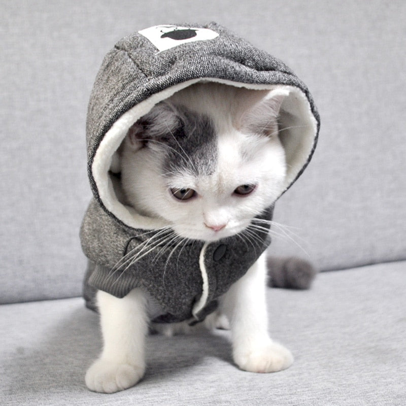 Winter Thick Clothes for Cats - Clothes for cats