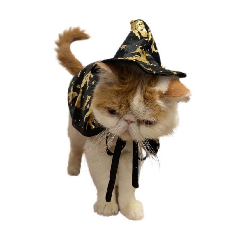 Wizard Costume for Cat