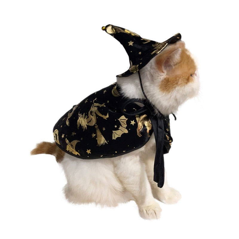 Wizard Costume for Cat