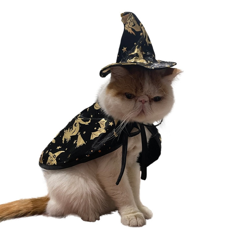 Wizard Costume for Cat