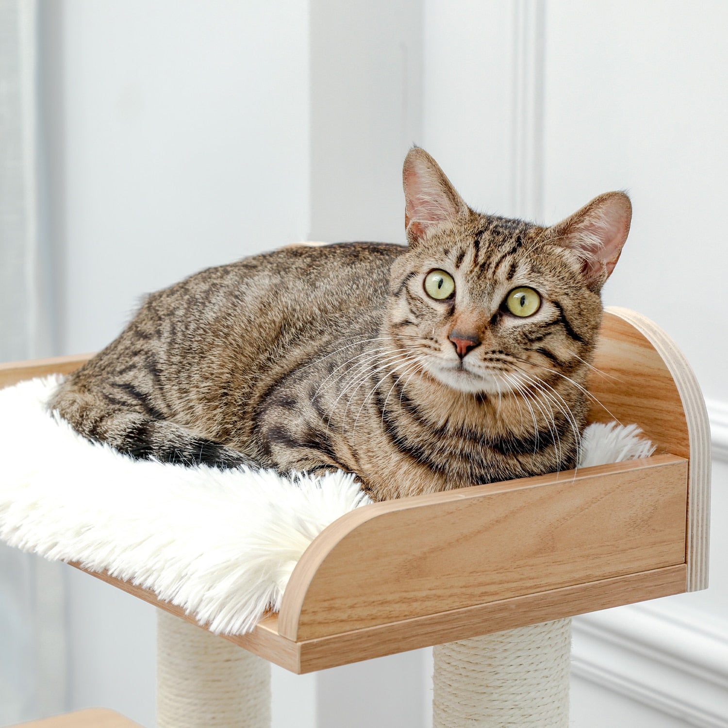 Wooden Cat Tree - Beige / United States