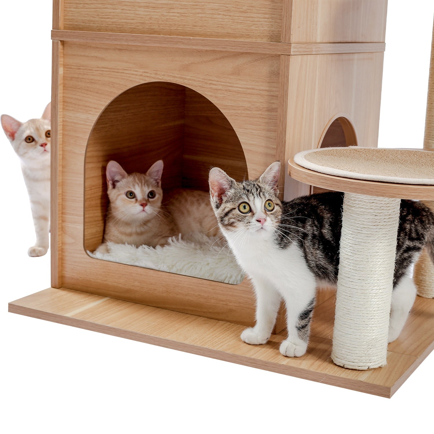 Wooden Cat Tree - Beige / United States