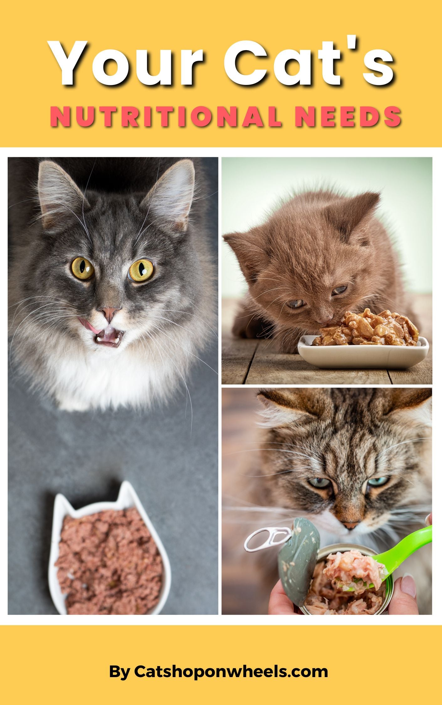 Cat food clearance for siamese cats