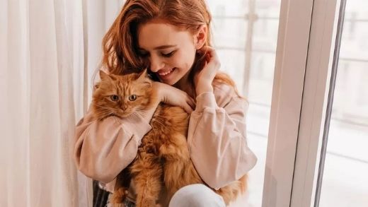 7 steps to make a cat or kitten cuddly!