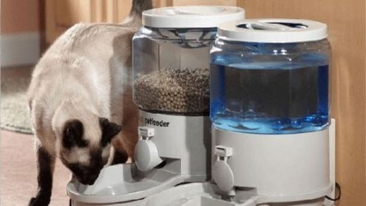 diy-automatic-cat-feeders