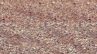 clumping-litter