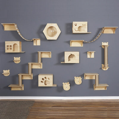 Cat Climbing Wall