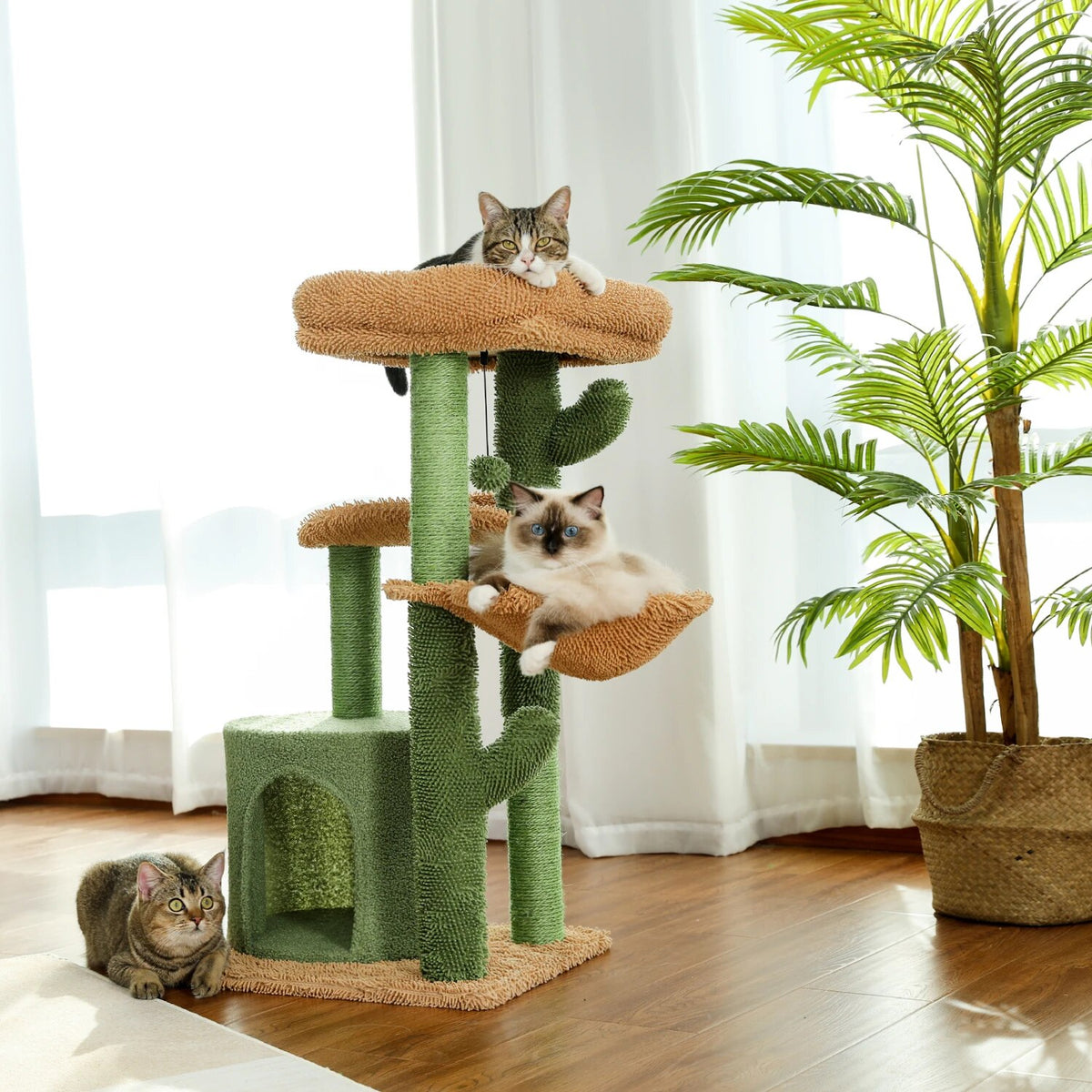 Cat Furniture