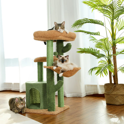 Cat Furniture