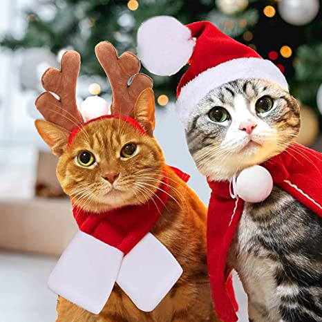 Christmas Cat Products