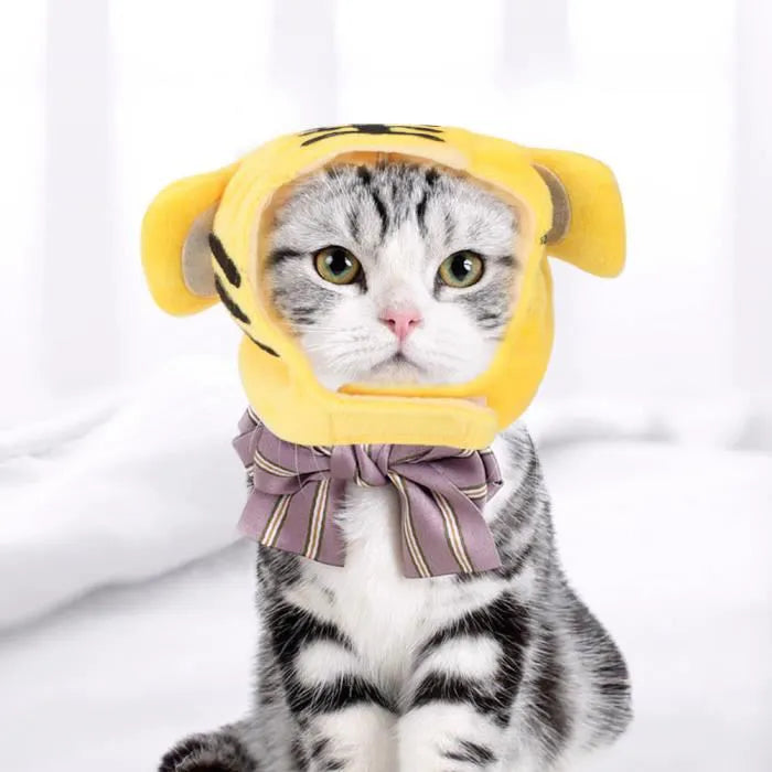 beanies-for-cats