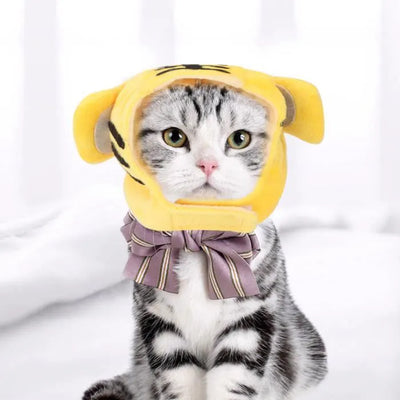 beanies-for-cats