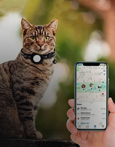 cat-collar