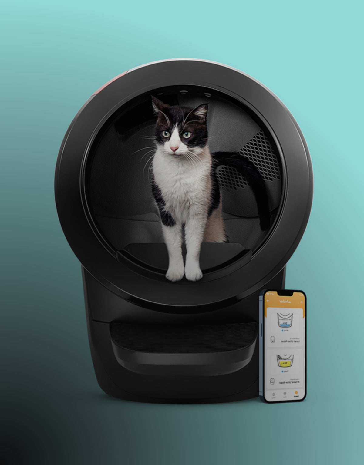 Cat-Litter-Box