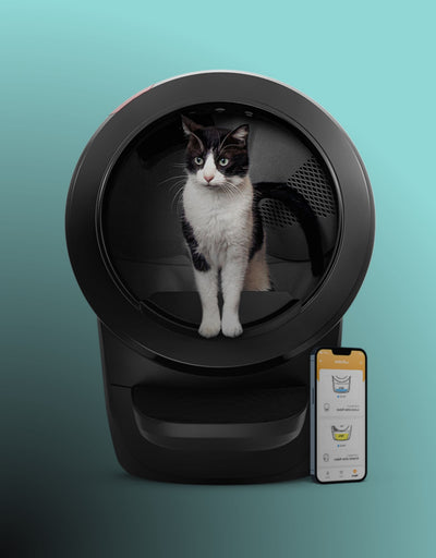 Cat-Litter-Box