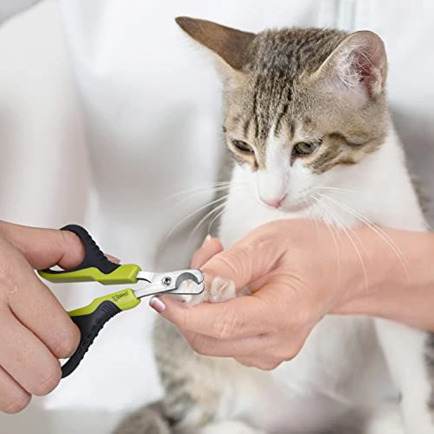 cat-nail-trimmer