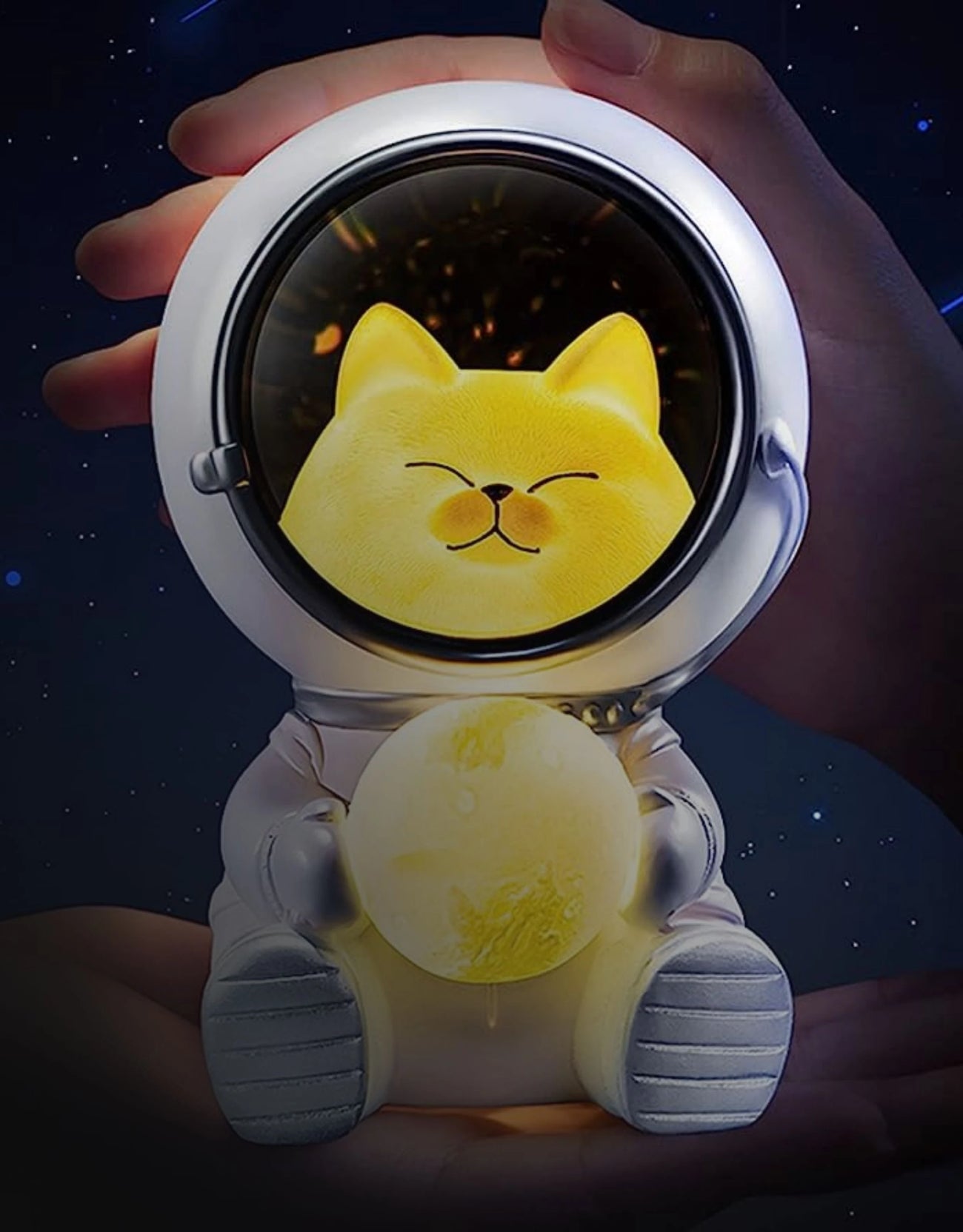 cat-night-light