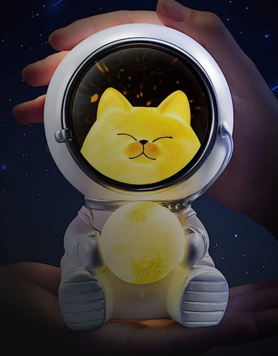 cat-night-light